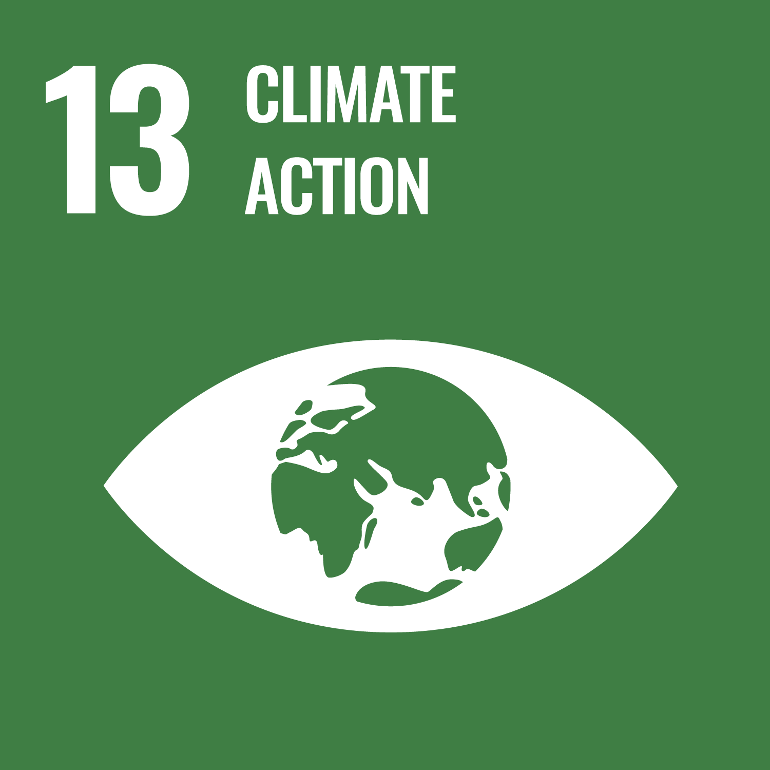 Icon: 13 Climate action